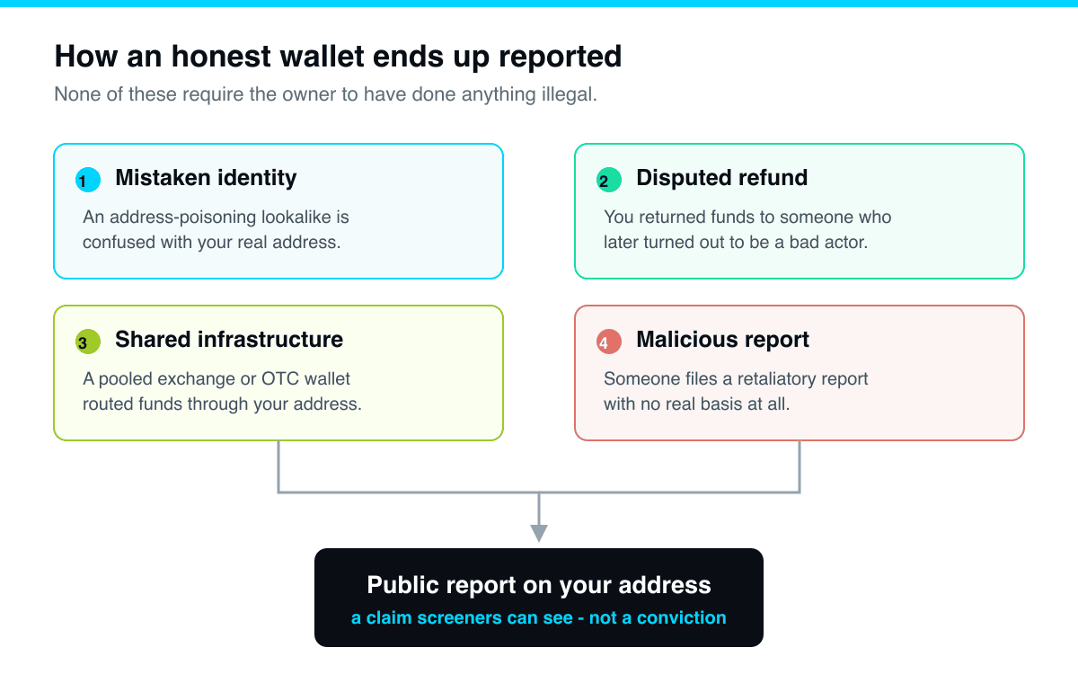 A taxonomy diagram showing four common pathways by which an innocent wallet ends up on a public scam-report database. The four branches are: mistaken identity from an address-poisoning lookalike; a disputed refund or reversal sent to a bad actor; shared infrastructure such as a pooled exchange or OTC wallet that routed funds; and a malicious or retaliatory false report. Each branch points to the same outcome box, a public report on the address.